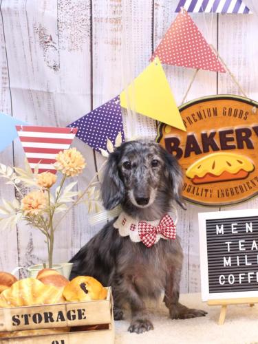 20240923おとくん